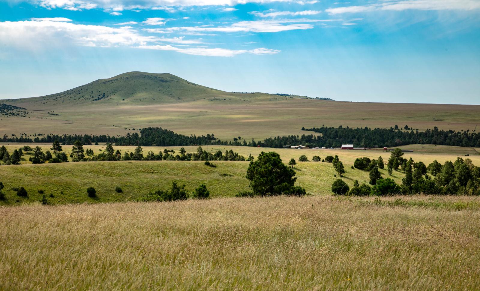 Laughlin Peak Ranch Chas S. Middleton